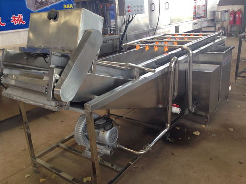 軟包裝氣泡蔬菜清洗機(jī) 億馬食品機(jī)械的革新選煤設(shè)備解析